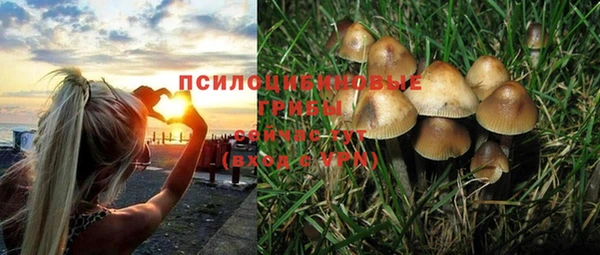 дистиллят марихуана Кукмор